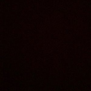 Meet your Posher, Alanna